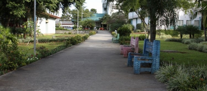 Curso de Artes Visuais promove atividade de revitaliza��o no campus