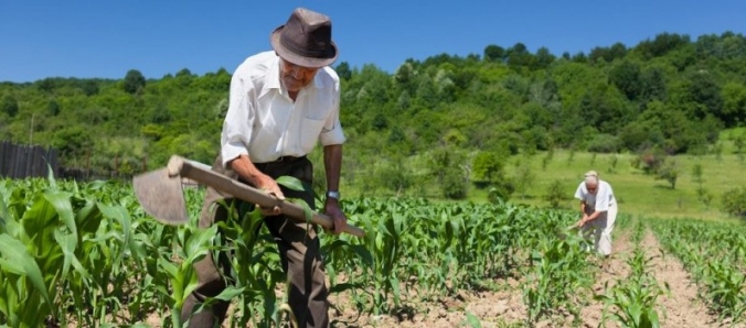 Desafio Empresarial na Unesc vai promover a agricultura familiar de Iara