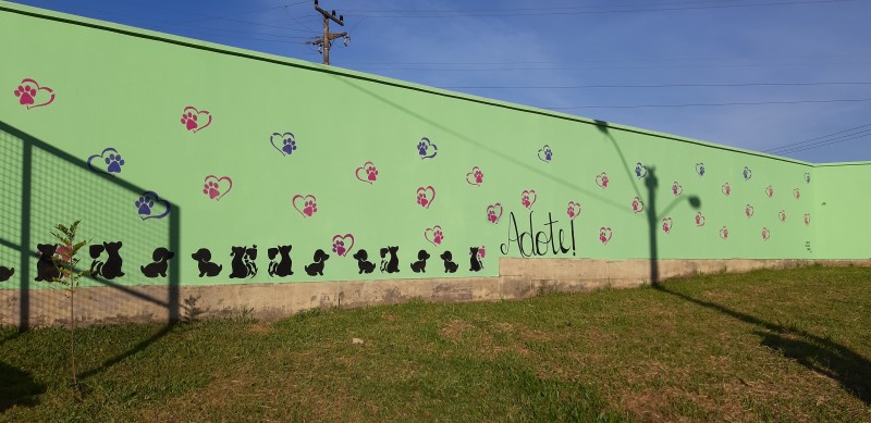 Pintura do Muro do N�cleo de Sa�de Animal