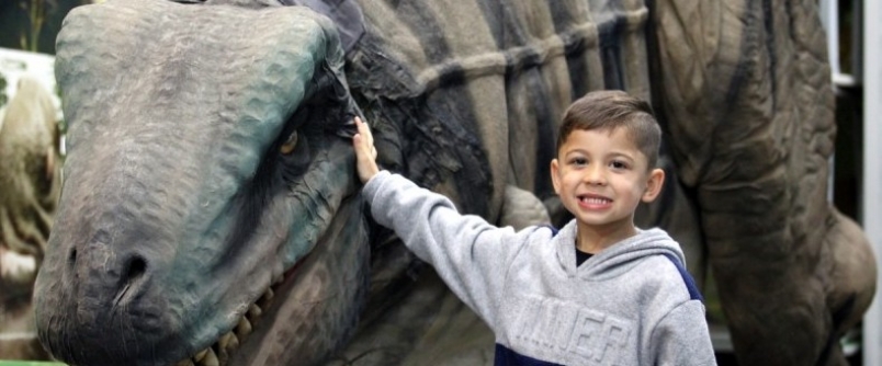 Museu de Zoologia da Unesc: refer�ncia em pesquisa, turismo e educa��o