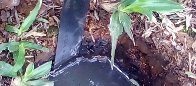 Acad�micos realizam estudo para analise da infiltra��o de �gua no solo