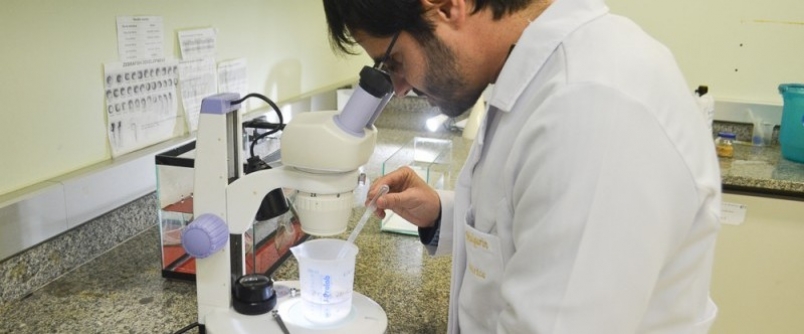 Unesc tem projetos aprovados pelo Conselho Nacional de Desenvolvimento Cient�fico e Tecnol�gico