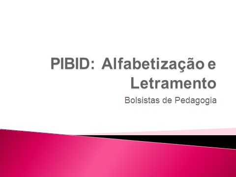 PIBID e suas conquistas em 2013!