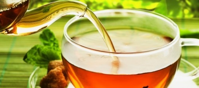 Plantas medicinais s�o objeto de estudo de projeto de extens�o do curso de Farm�cia