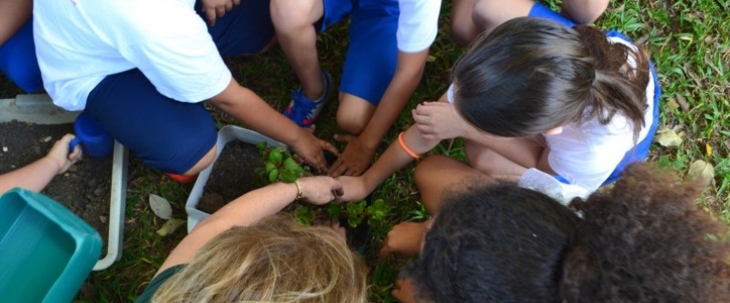 Unesc realiza 14� Semana de Meio Ambiente e Valores Humanos