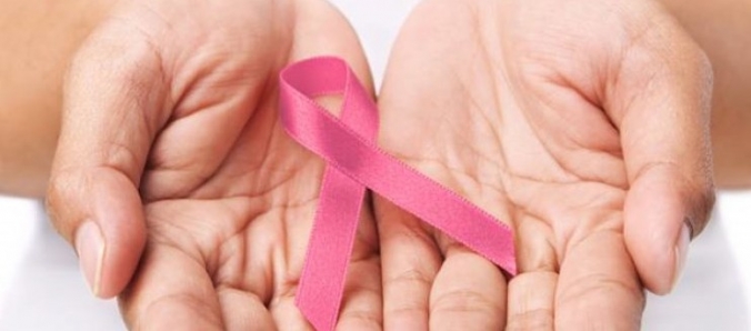 Unesc Rosa: Liga de Cirurgia Plstica esclarece populao sobre cncer de mama