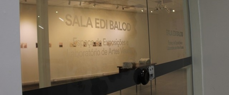 Artista catarinense que atua nos EUA traz exposio  Sala Edi Balod