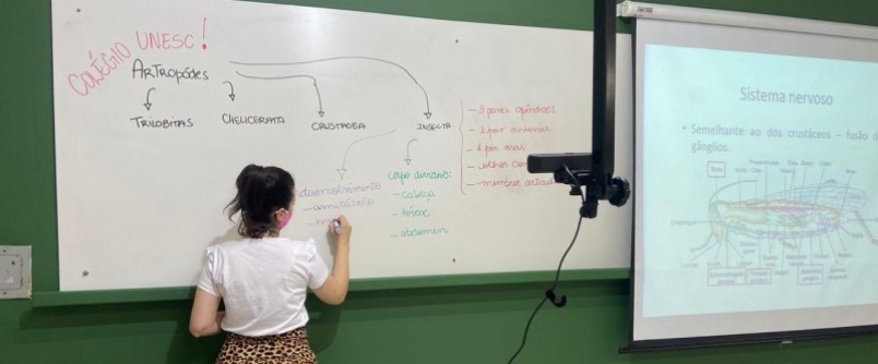 Professores do Col�gio Unesc retornam �s salas para ministrar aulas