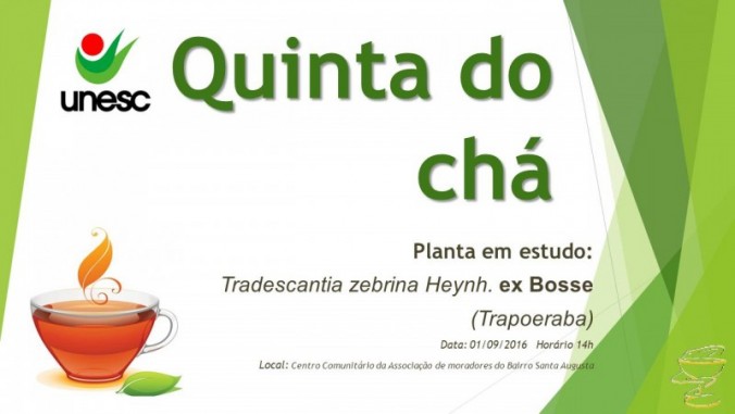 Quinta do Ch: Planta Tradescantia zebrina Heynh. ex Bosse, conhecida popularmente como Trapoeraba ou Lambari.