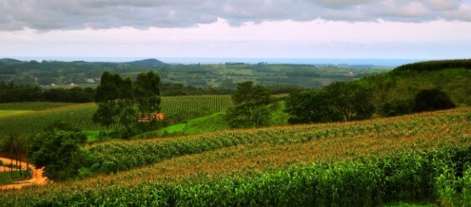 Concurso fotogrfico sobre os Vales da Uva Goethe com inscries abertas