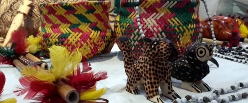 Museu de Zoologia e Anima realizam roda de conversa com representantes ind�genas