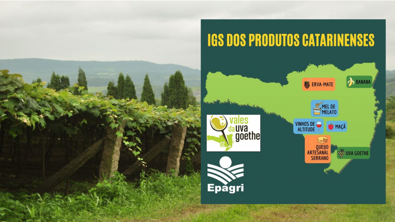 Indicaes Geogrficas de Santa Catarina