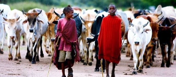 Fot�grafa internacional faz palestra aberta ao p�blico