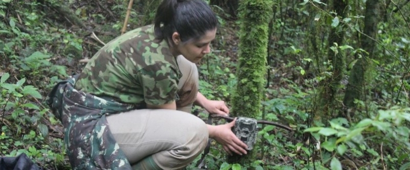 Iparque atua em projeto de abertura de nova rodovia entre SC e RS