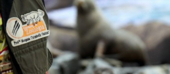 Livro conta a hist�ria do Museu de Zoologia da Unesc